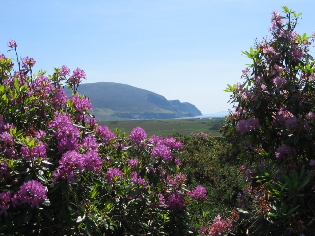 Cathedral Cliffs in Spring